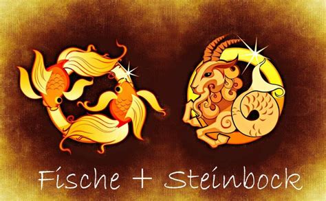 steinbock mann und fische frau|Fische und Steinbock Kompatibilität .